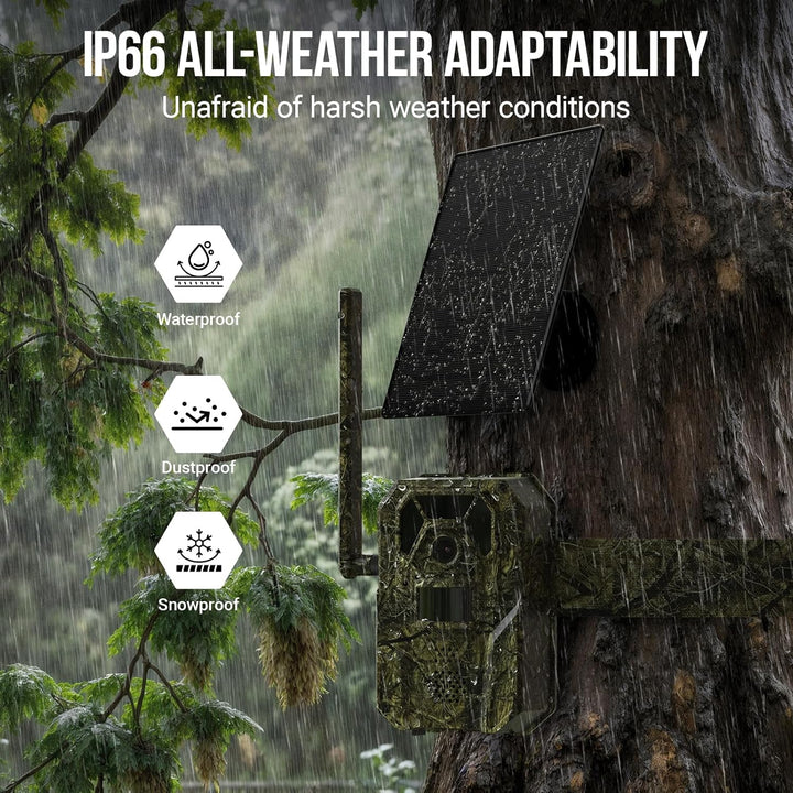 Camera on a tree with IP66 rating features highlighted in a rainy forest setting